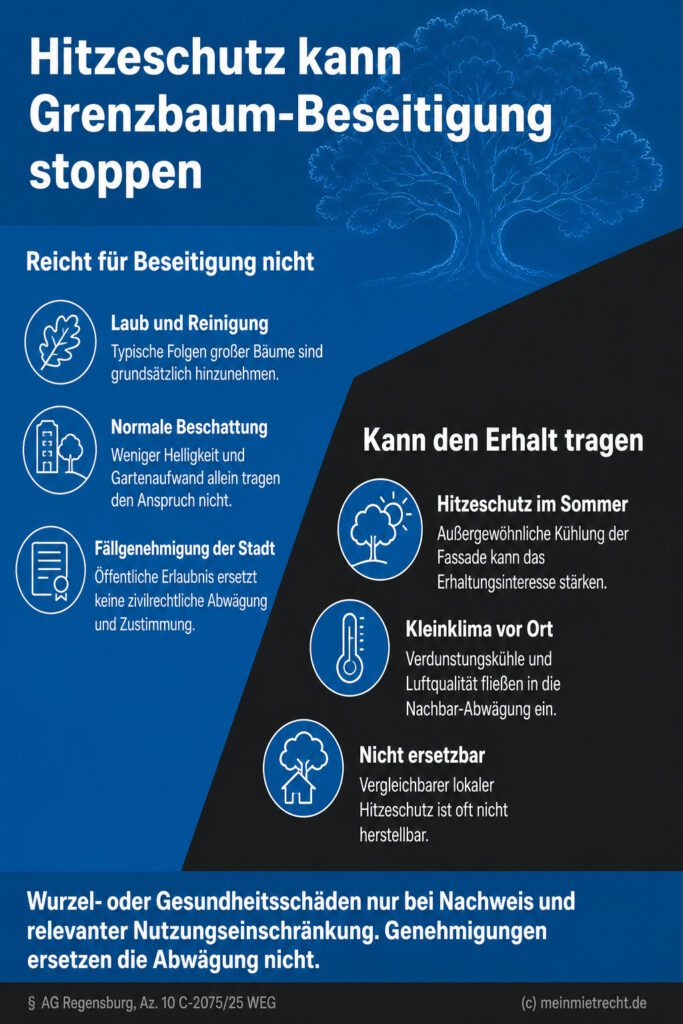 Diagonale Gegenüberstellung: Typische Baumlasten versus außergewöhnlicher Hitzeschutz als Argument für den Baumerhalt.